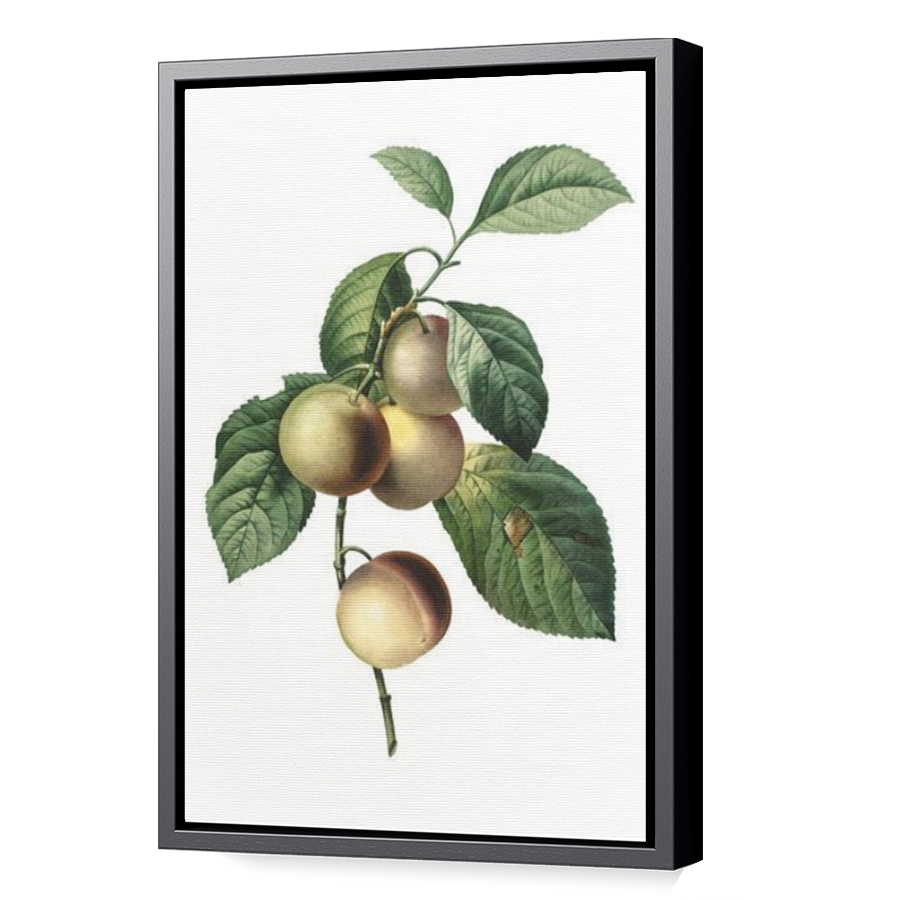 Thumbnail for Canvas - Black Floating Frame