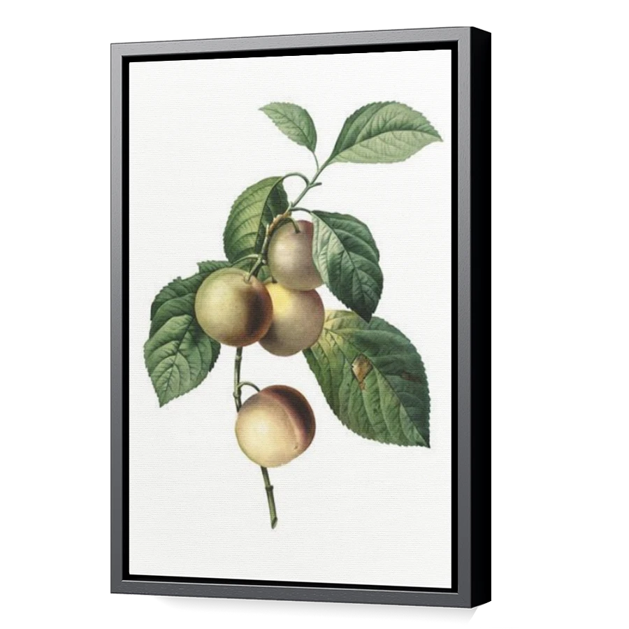 Thumbnail for Canvas - Black Floating Frame