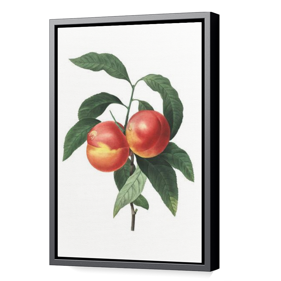 Thumbnail for Canvas - Black Floating Frame