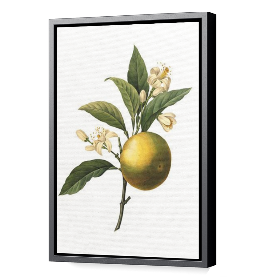 Thumbnail for Canvas - Black Floating Frame