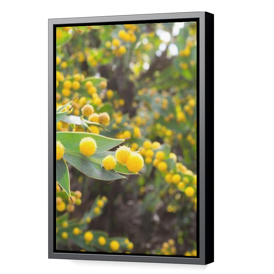 Thumbnail for Canvas - Black Floating Frame