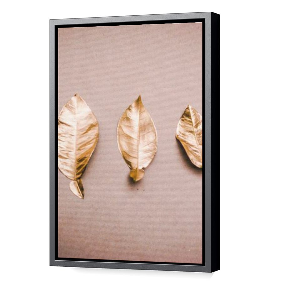 Thumbnail for Canvas - Black Floating Frame