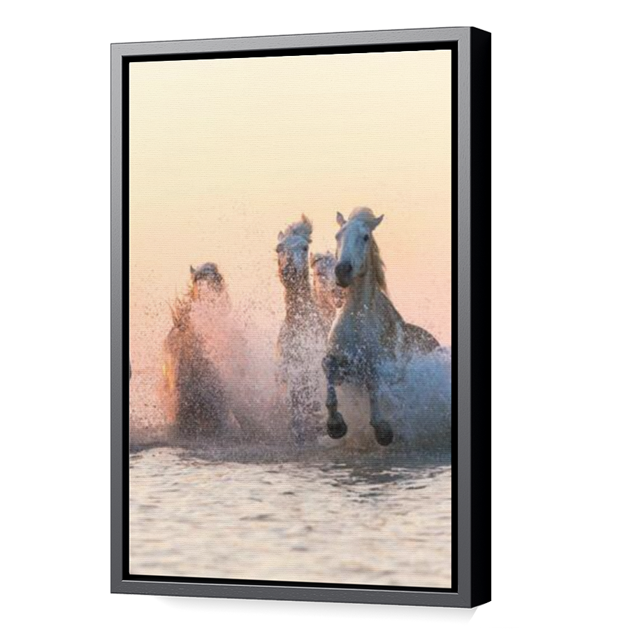 Thumbnail for Canvas - Black Floating Frame