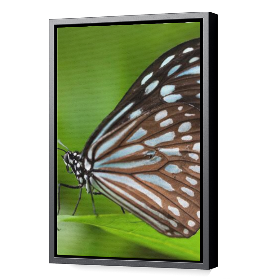 Thumbnail for Canvas - Black Floating Frame