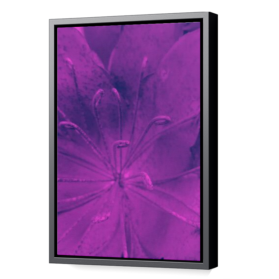 Thumbnail for Canvas - Black Floating Frame