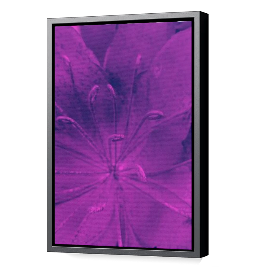 Thumbnail for Canvas - Black Floating Frame