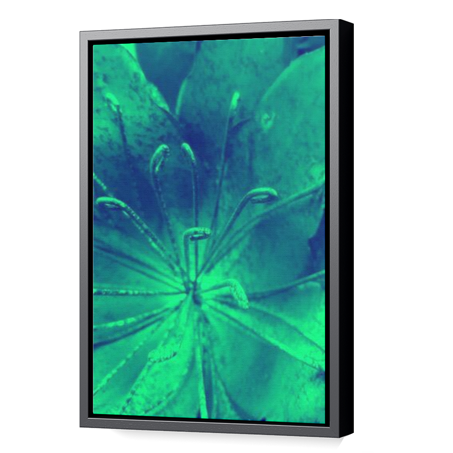 Thumbnail for Canvas - Black Floating Frame