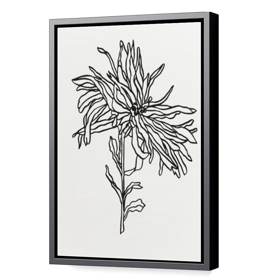 Thumbnail for Canvas - Black Floating Frame