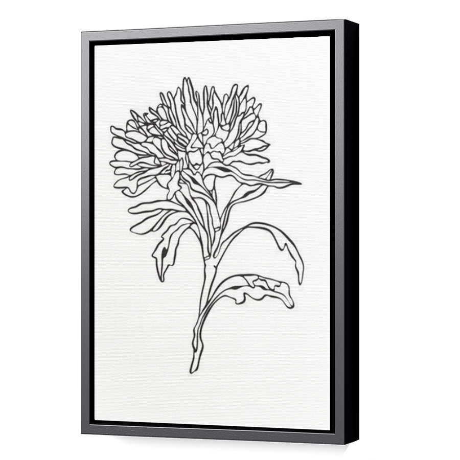 Thumbnail for Canvas - Black Floating Frame