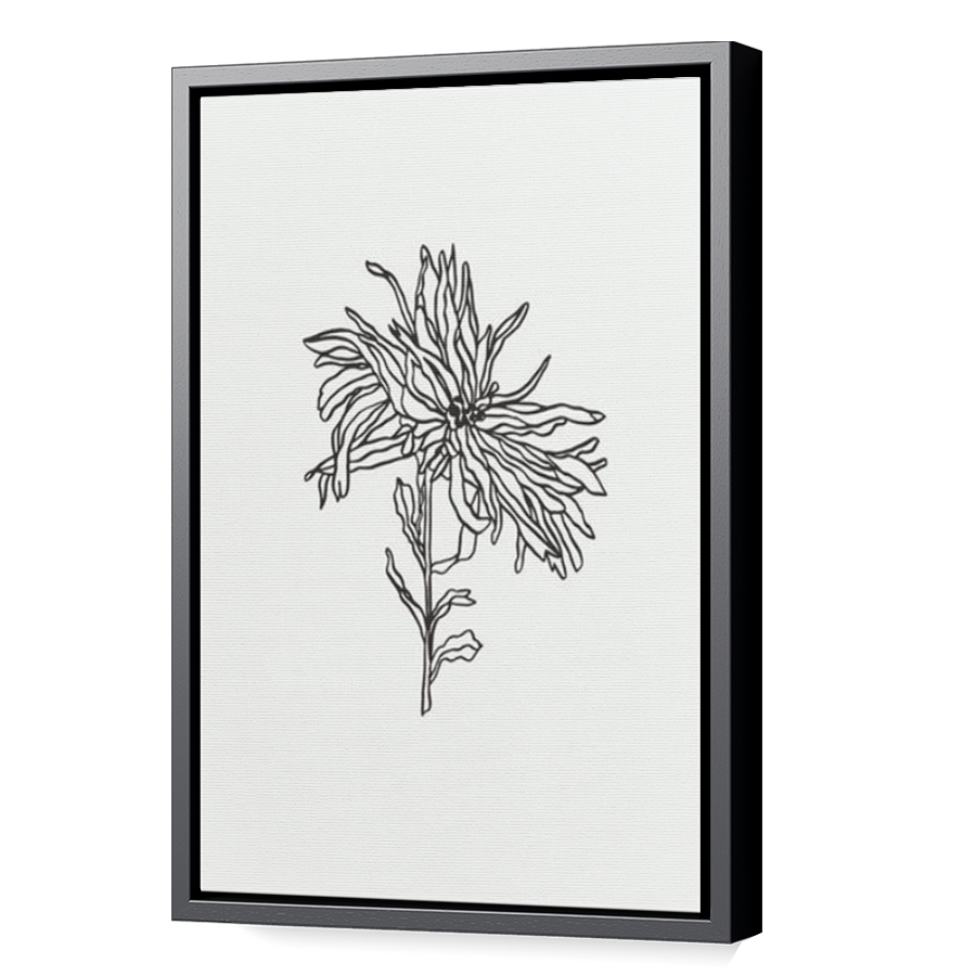 Thumbnail for Canvas - Black Floating Frame