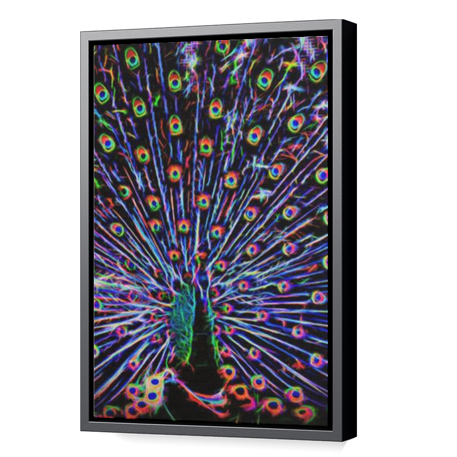 Thumbnail for Canvas - Black Floating Frame