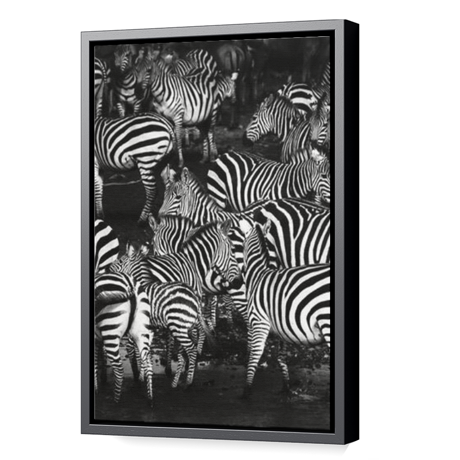 Thumbnail for Canvas - Black Floating Frame