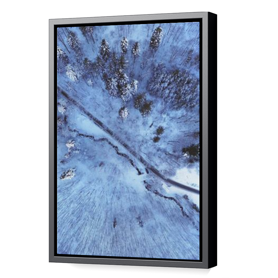 Thumbnail for Canvas - Black Floating Frame