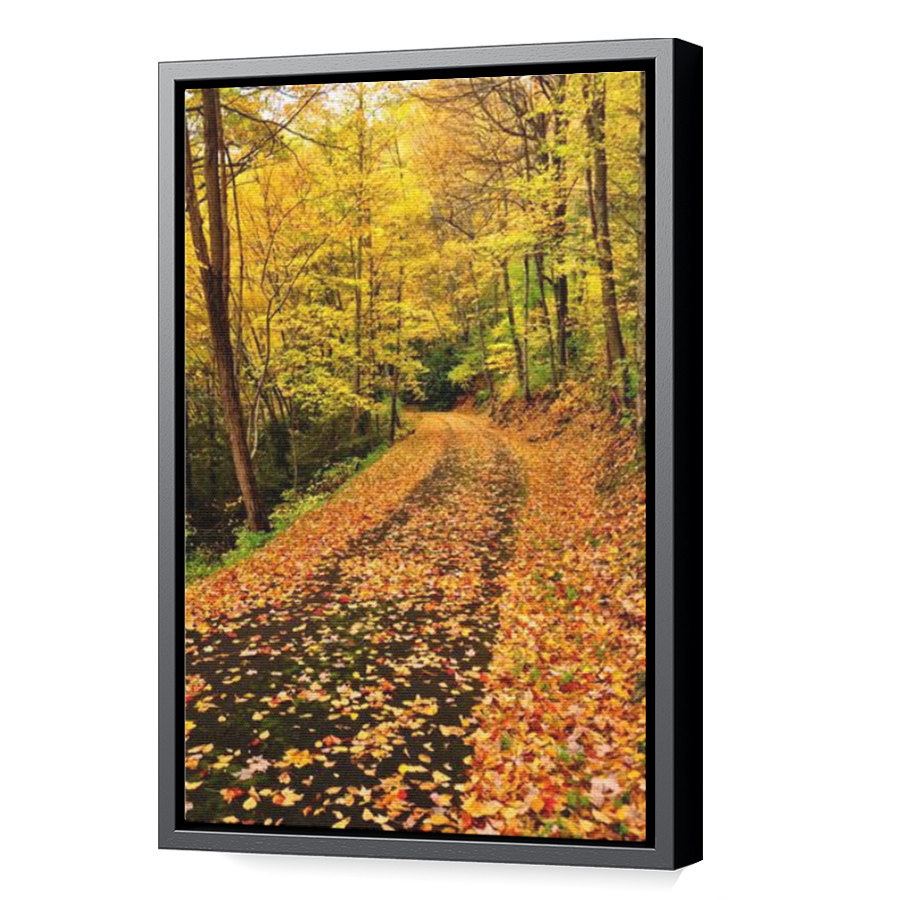Thumbnail for Canvas - Black Floating Frame