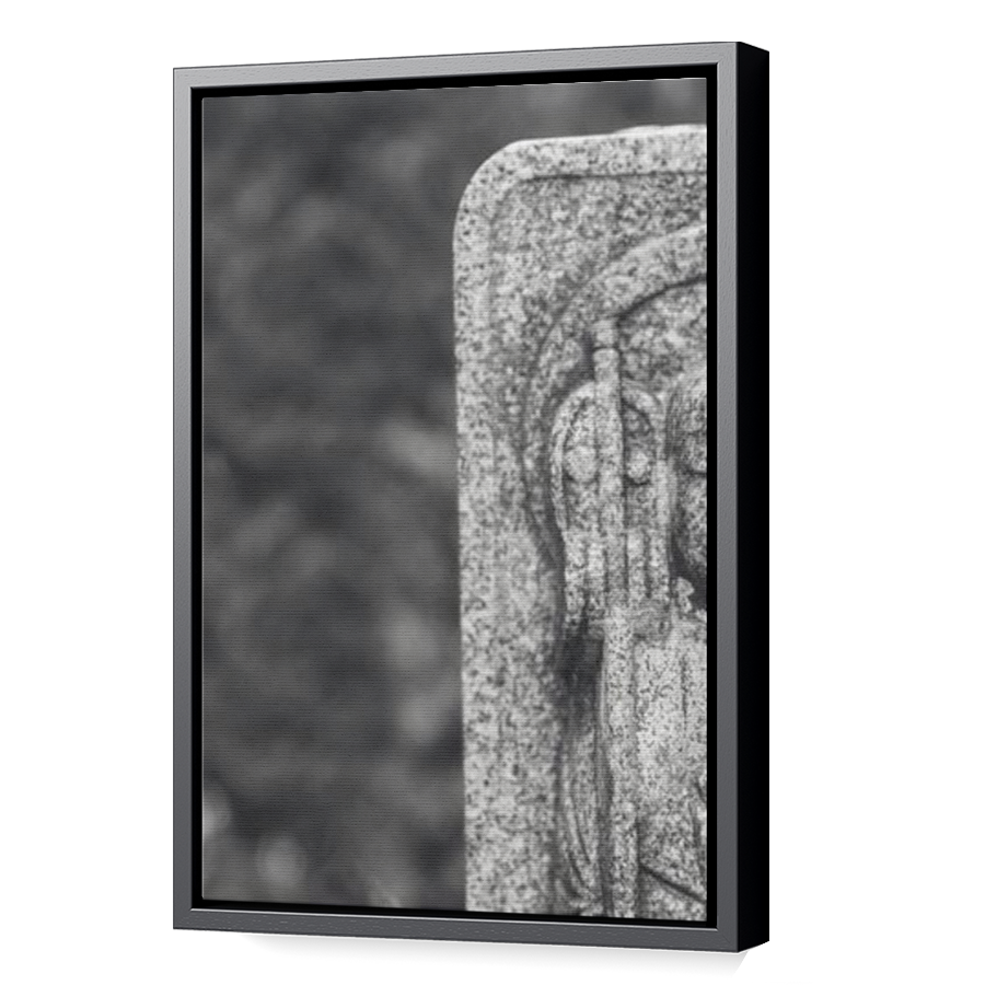 Thumbnail for Canvas - Black Floating Frame