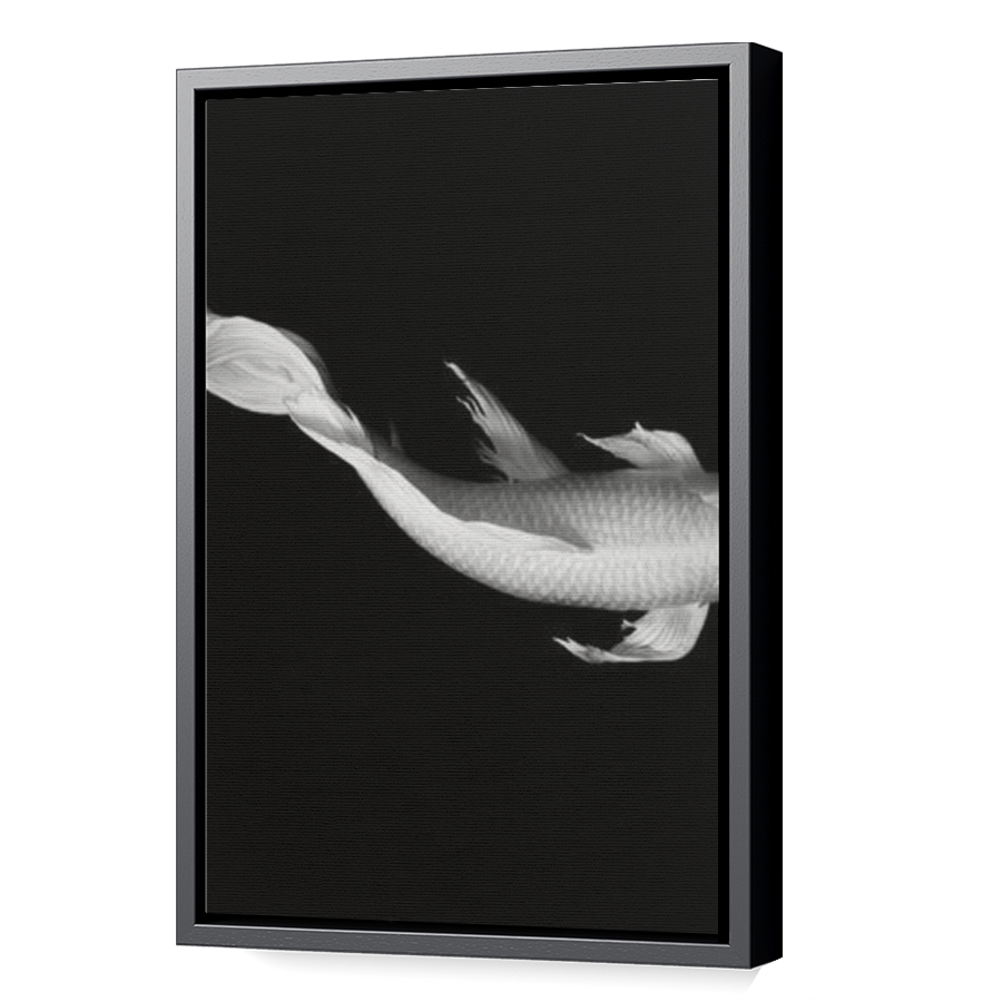 Thumbnail for Canvas - Black Floating Frame