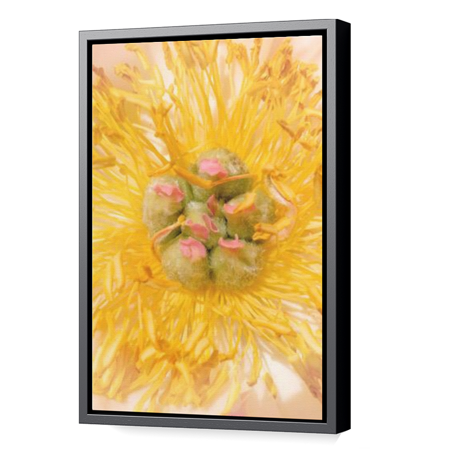 Thumbnail for Canvas - Black Floating Frame