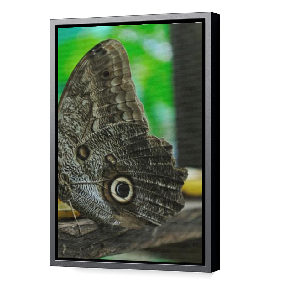 Thumbnail for Canvas - Black Floating Frame