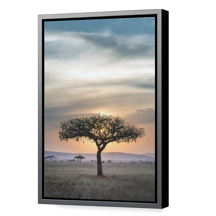 Thumbnail for Canvas - Black Floating Frame