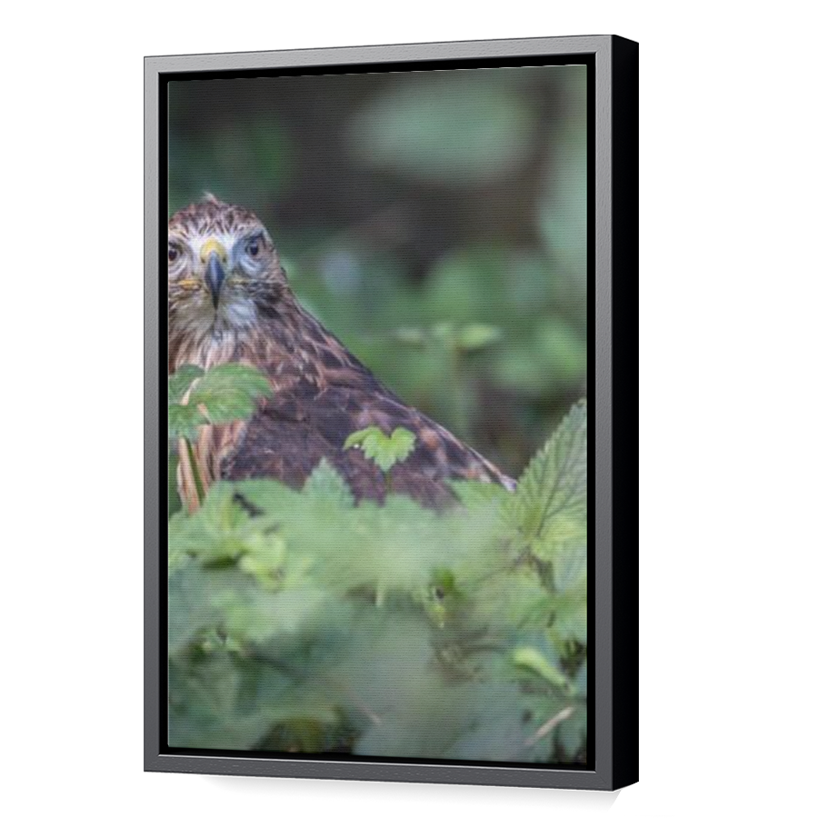 Thumbnail for Canvas - Black Floating Frame