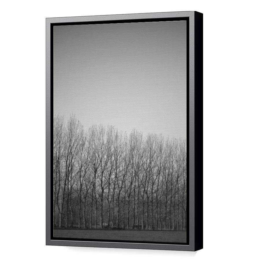 Thumbnail for Canvas - Black Floating Frame