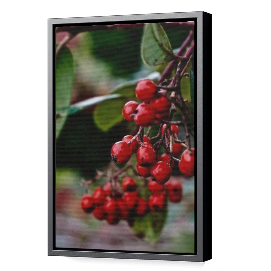 Thumbnail for Canvas - Black Floating Frame