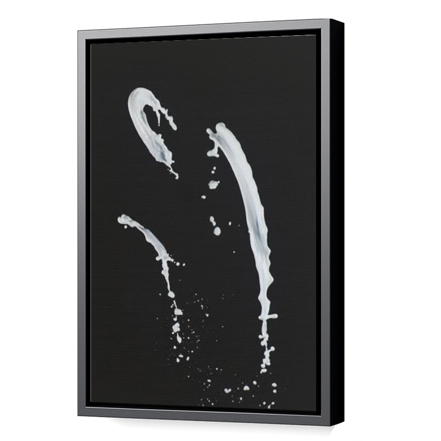 Thumbnail for Canvas - Black Floating Frame