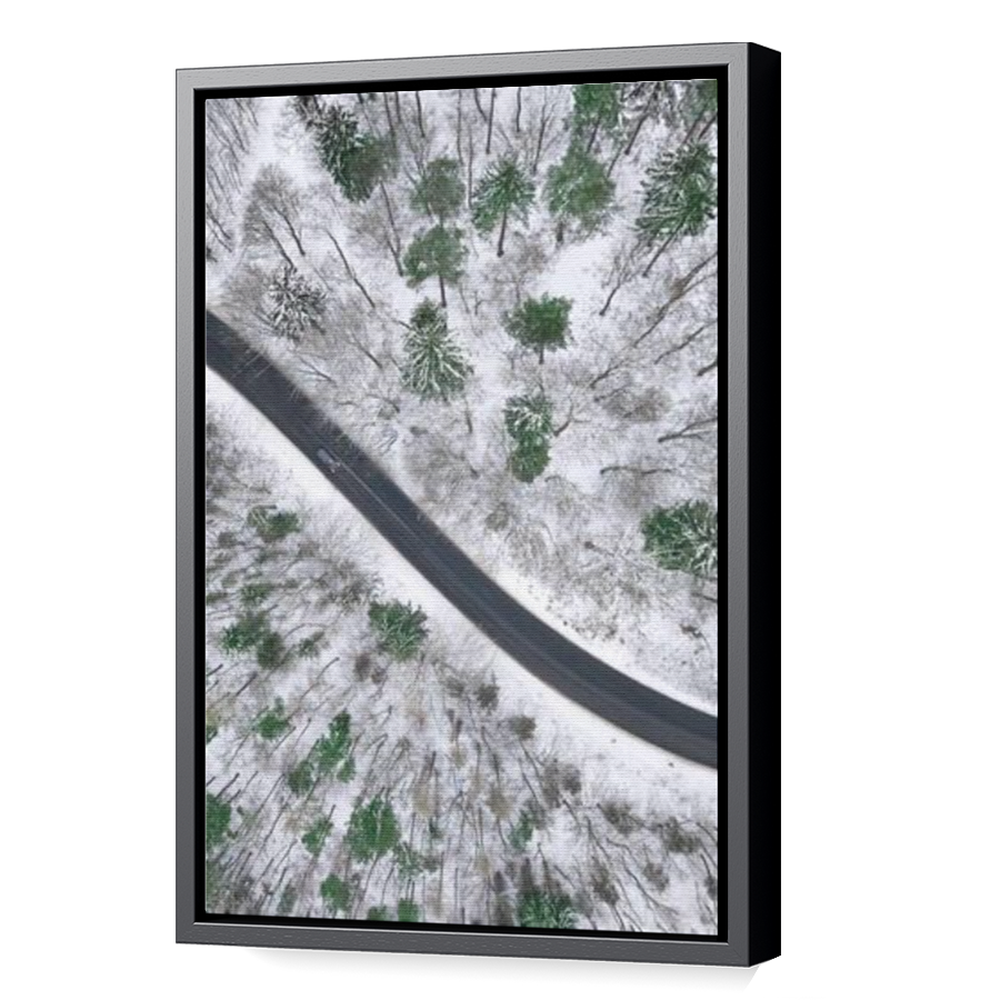 Thumbnail for Canvas - Black Floating Frame