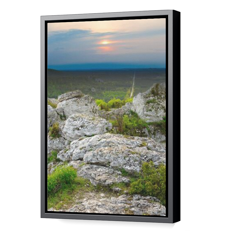 Thumbnail for Canvas - Black Floating Frame
