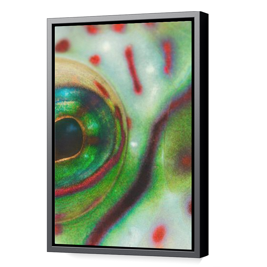 Thumbnail for Canvas - Black Floating Frame