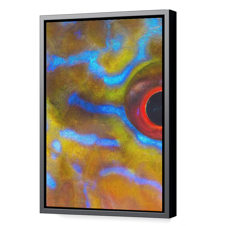 Thumbnail for Canvas - Black Floating Frame