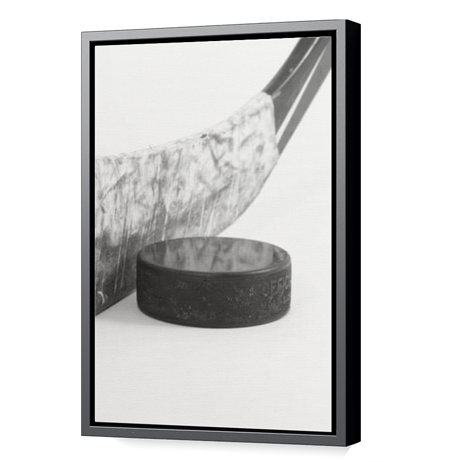Thumbnail for Canvas - Black Floating Frame