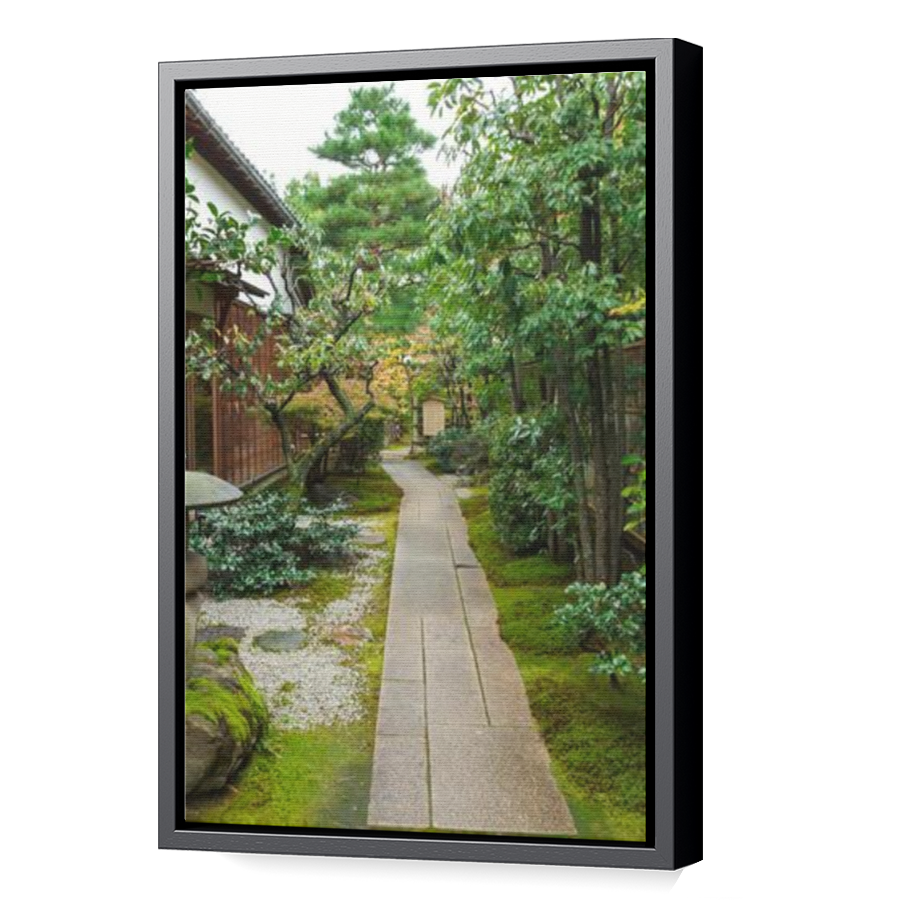 Thumbnail for Canvas - Black Floating Frame