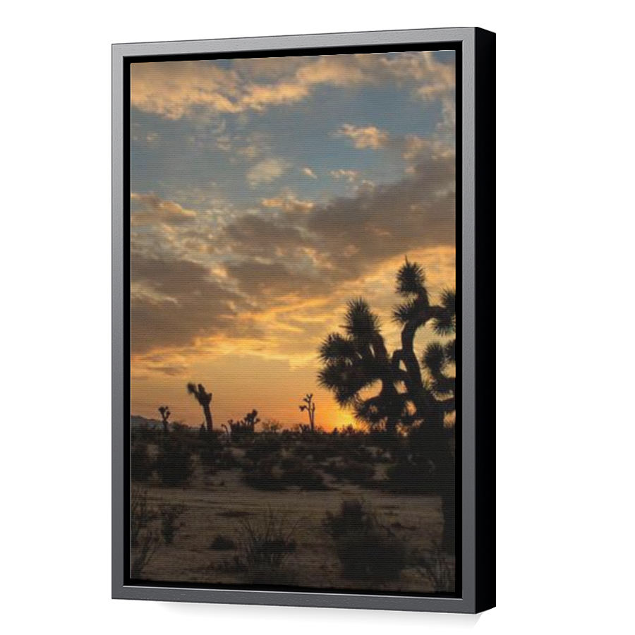 Thumbnail for Canvas - Black Floating Frame