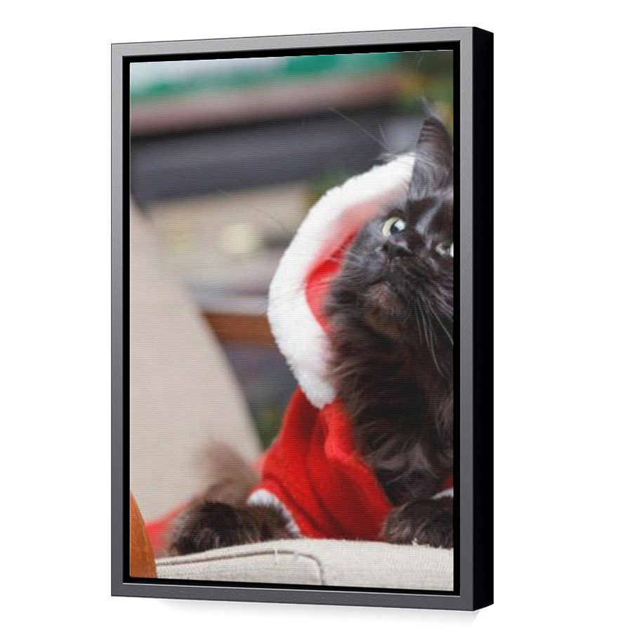Thumbnail for Canvas - Black Floating Frame