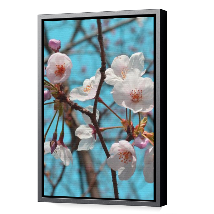 Thumbnail for Canvas - Black Floating Frame