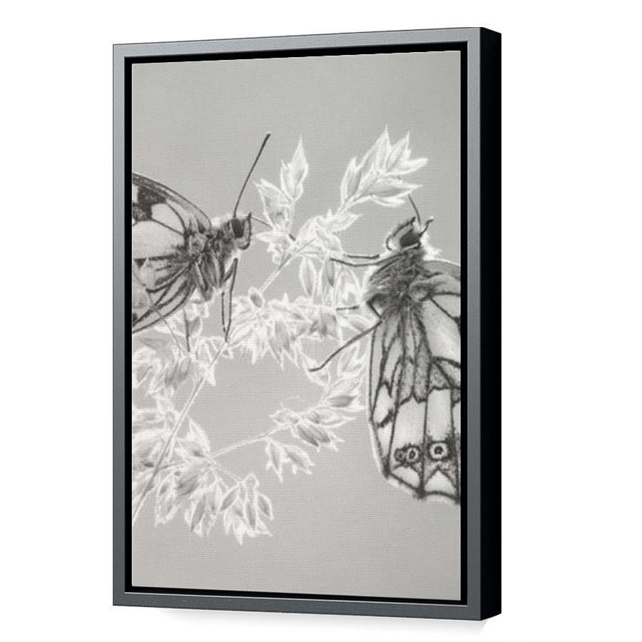 Thumbnail for Canvas - Black Floating Frame
