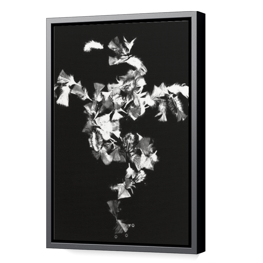 Thumbnail for Canvas - Black Floating Frame