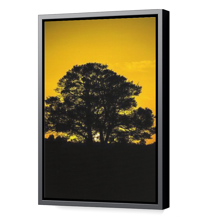 Thumbnail for Canvas - Black Floating Frame