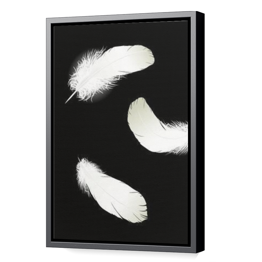 Thumbnail for Canvas - Black Floating Frame