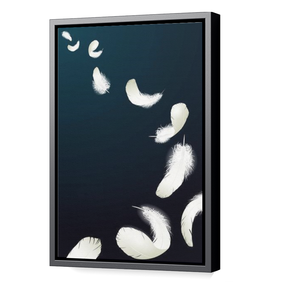 Thumbnail for Canvas - Black Floating Frame