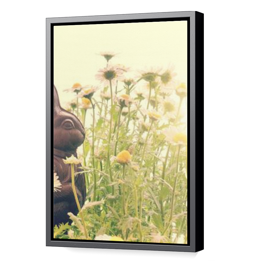 Thumbnail for Canvas - Black Floating Frame