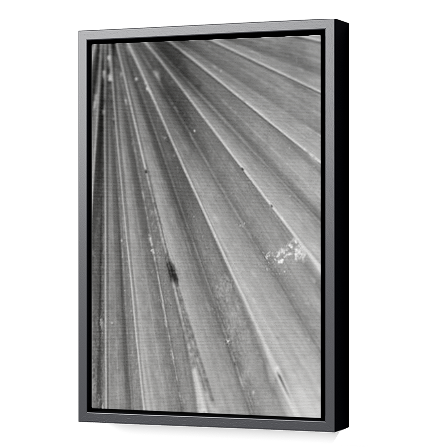 Thumbnail for Canvas - Black Floating Frame