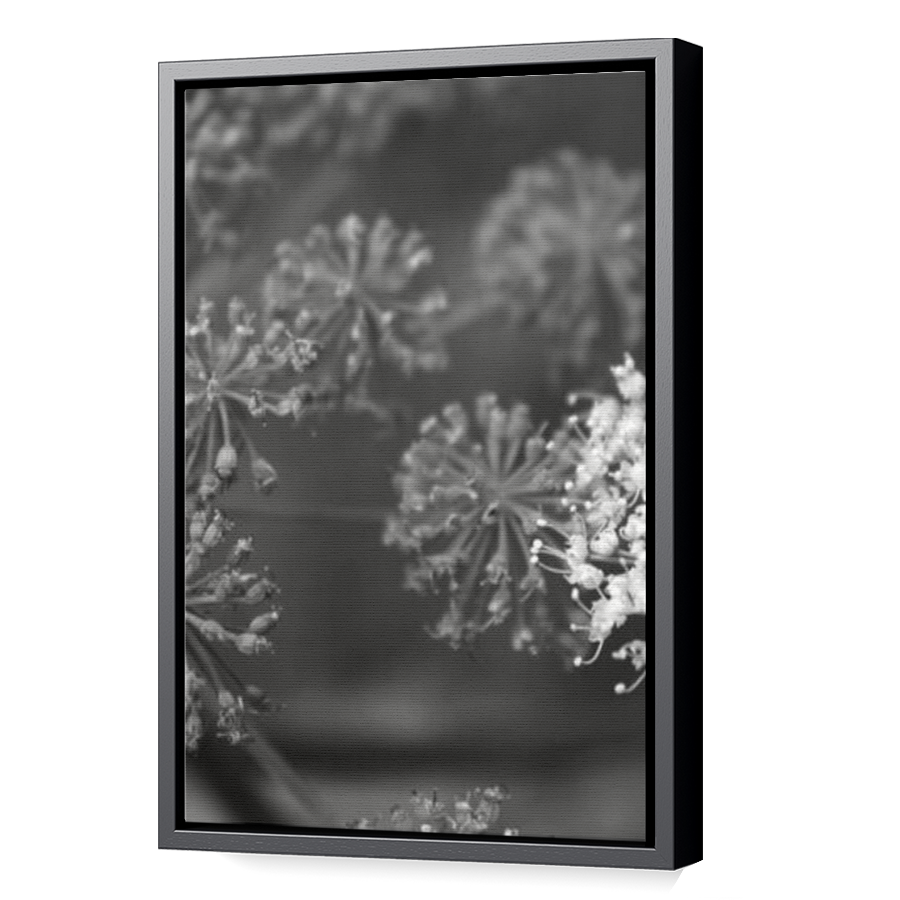 Thumbnail for Canvas - Black Floating Frame