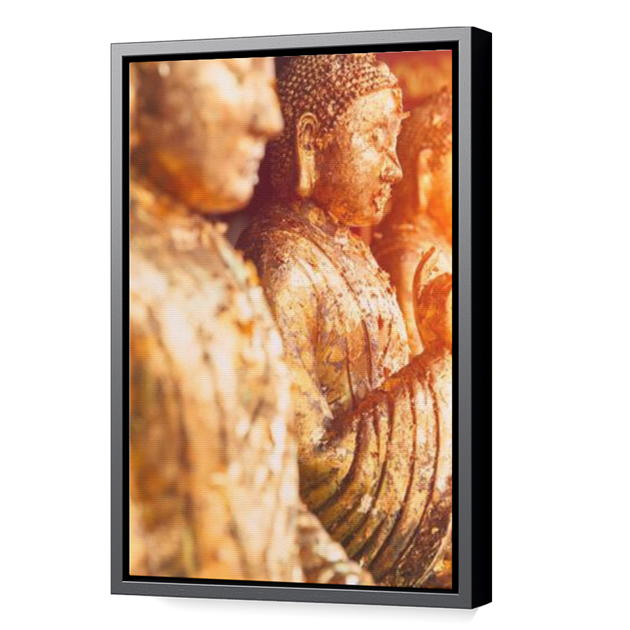 Thumbnail for Canvas - Black Floating Frame