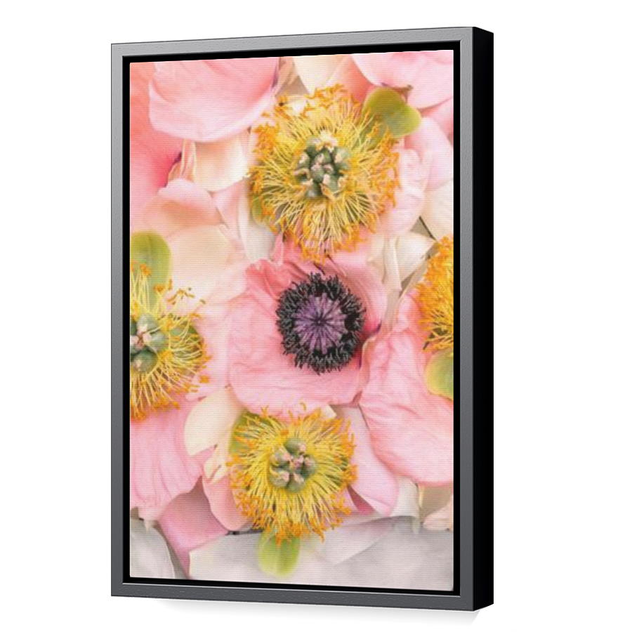 Thumbnail for Canvas - Black Floating Frame