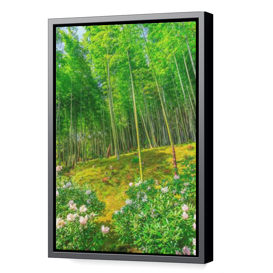 Thumbnail for Canvas - Black Floating Frame