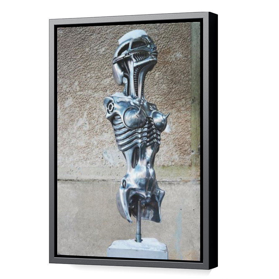 Thumbnail for Canvas - Black Floating Frame