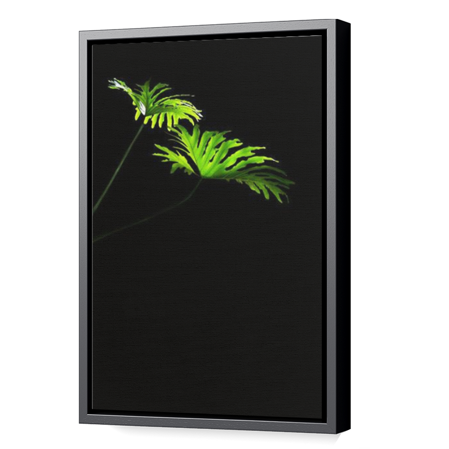 Thumbnail for Canvas - Black Floating Frame