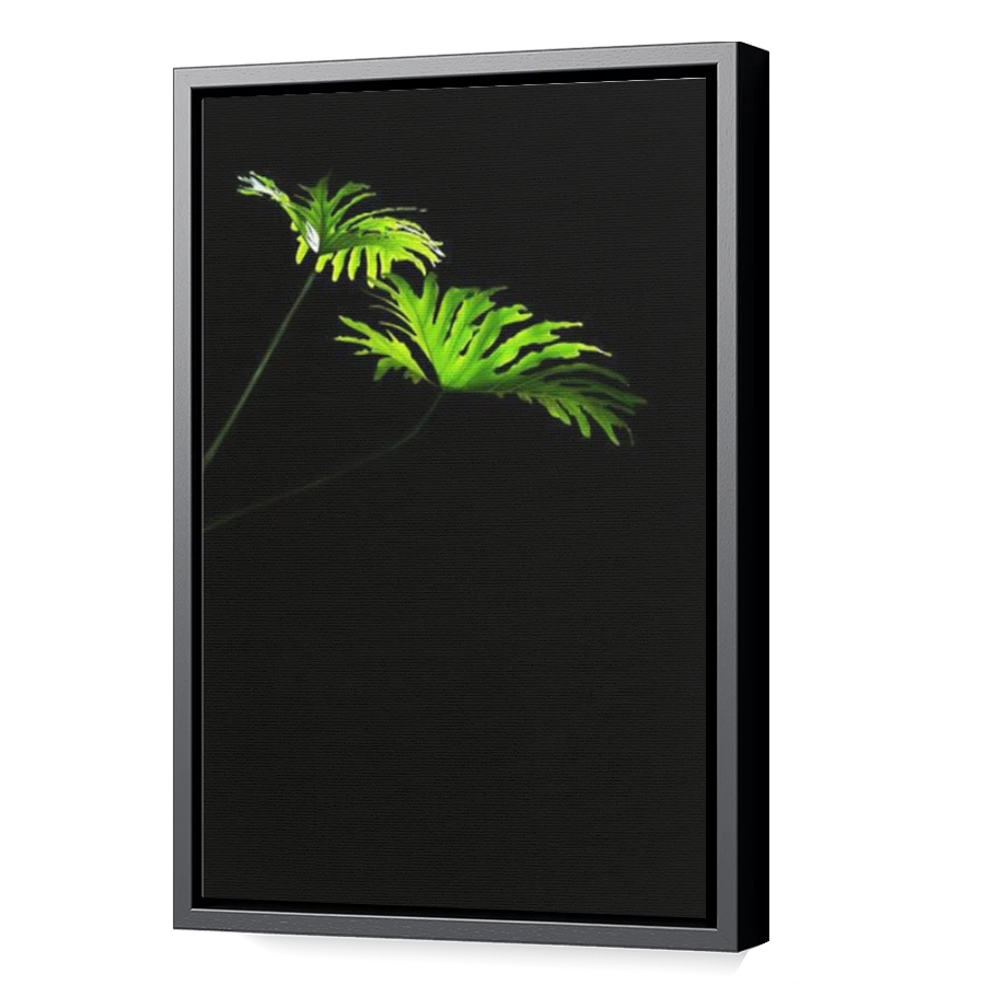 Thumbnail for Canvas - Black Floating Frame
